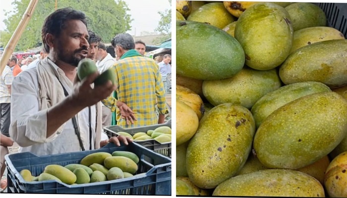 10 रुपए में भी नहीं मिल रहें आम के खरीददार: मलिहाबादी आम की ऐसी पर किसानों ने सरकार से गुहार